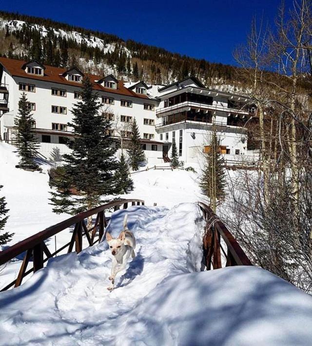 Monarch Mountain Lodge Esterno foto